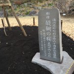 湯河原梅林 幕山公園に本小松石の記念碑を建てさせていただきました